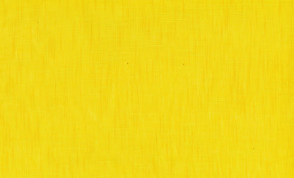 【予約商品】ギエモン  久留米絣  ブラウス  Y5168 日本製【2026ss】