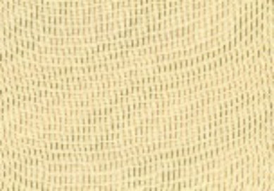 Giemon  久留米絣  ブラウス  G-534  日本製【2026ss】