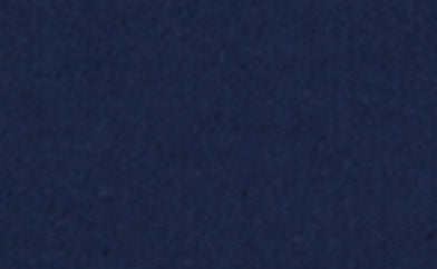 Giemon  ギエモン ぎえもん  久留米絣　ブラウス　G510　日本製　【2025-26gs】